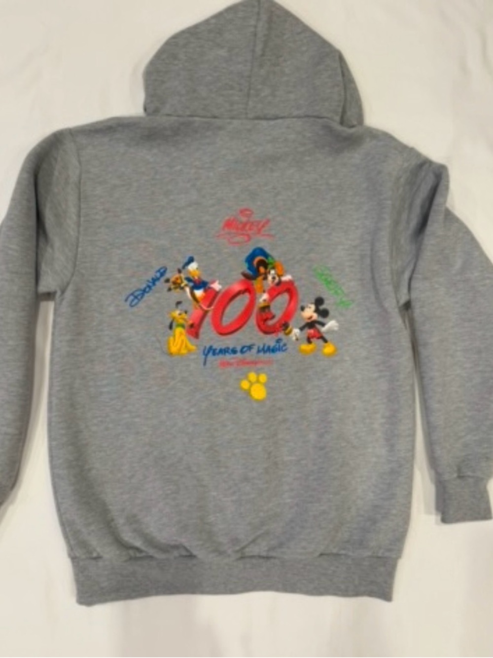 Walt Disney World '100 Years of Magic' Zip Up Hoodie Sz Large Disneyland